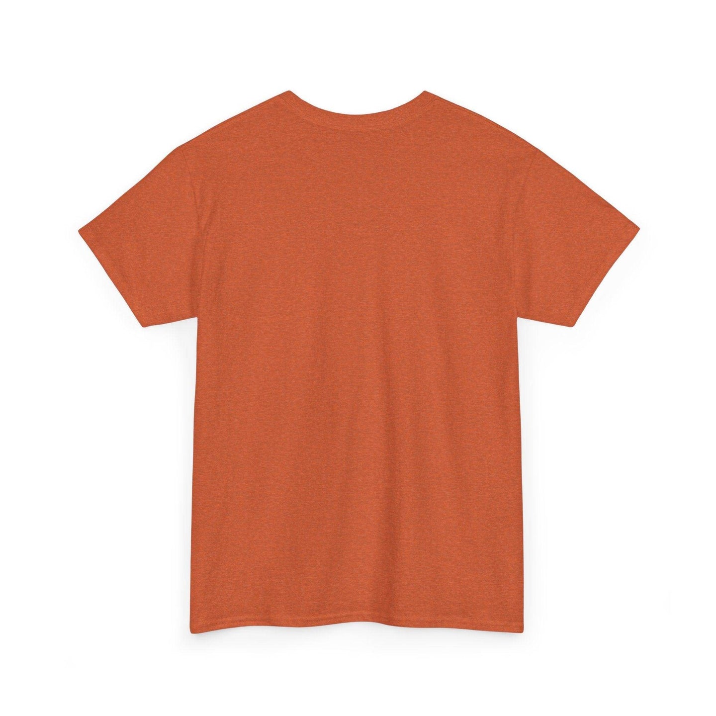 Alicorn Reading - Adult Unisex Heavy Cotton - Brightsee