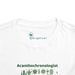 Acanthochronology - Cactus - Toddler Short Sleeve - Brightsee