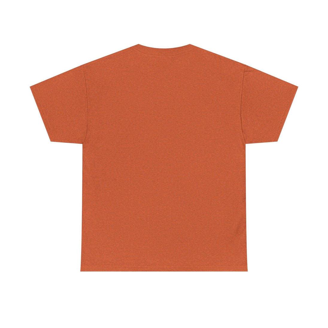 Alicorn Reading - Adult Unisex Heavy Cotton - Brightsee