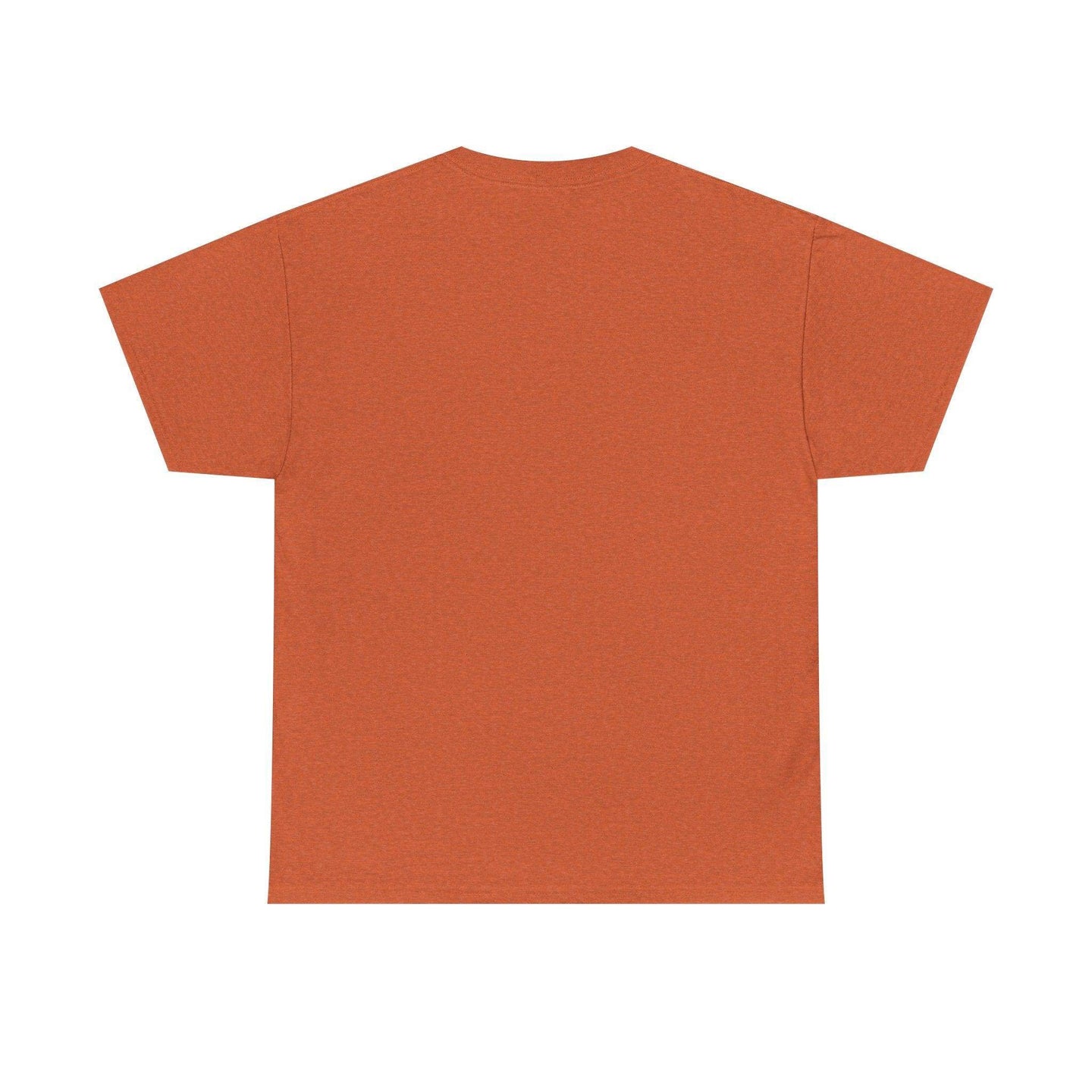 Alicorn Reading - Adult Unisex Heavy Cotton - Brightsee