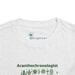 Acanthochronology - Cactus - Toddler Short Sleeve - Brightsee