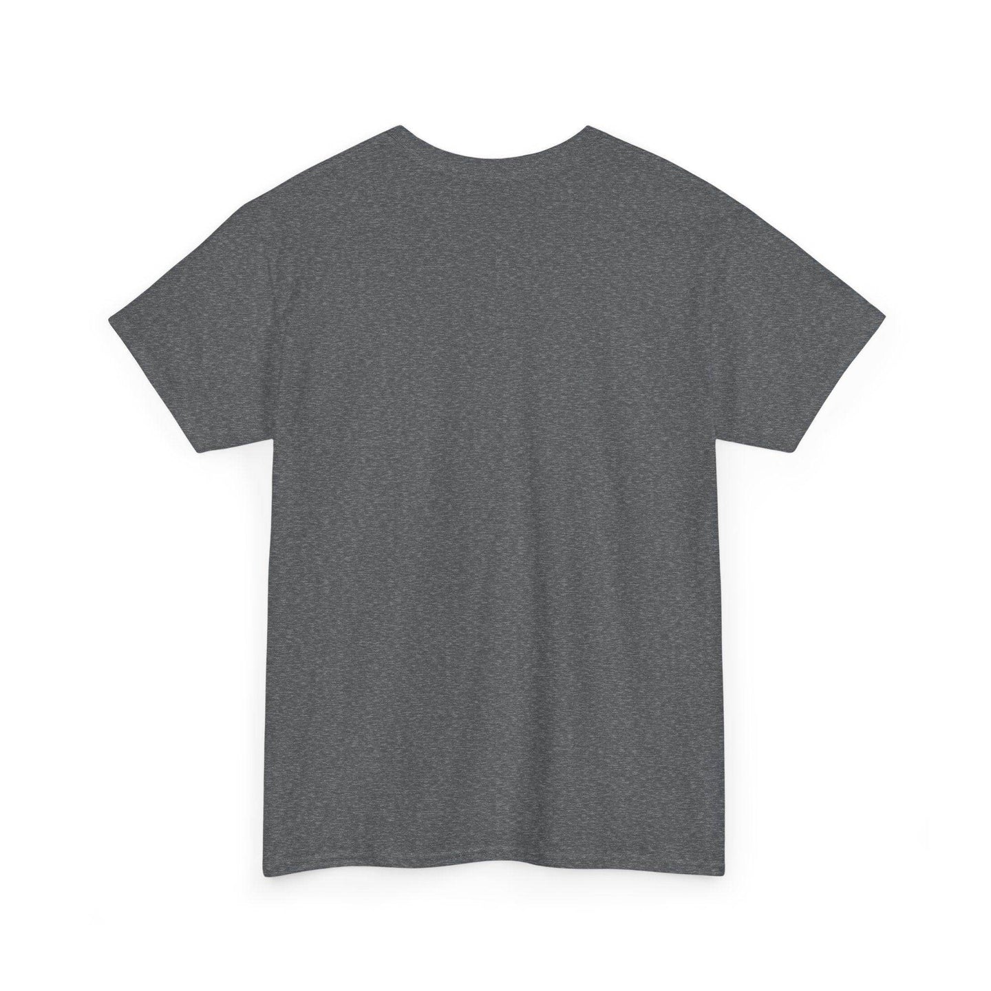 Alicorn Reading - Adult Unisex Heavy Cotton - Brightsee