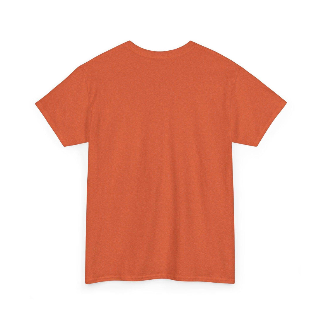 Alicorn Reading - Adult Unisex Heavy Cotton - Brightsee