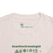 Acanthochronology - Cactus - Toddler Short Sleeve - Brightsee
