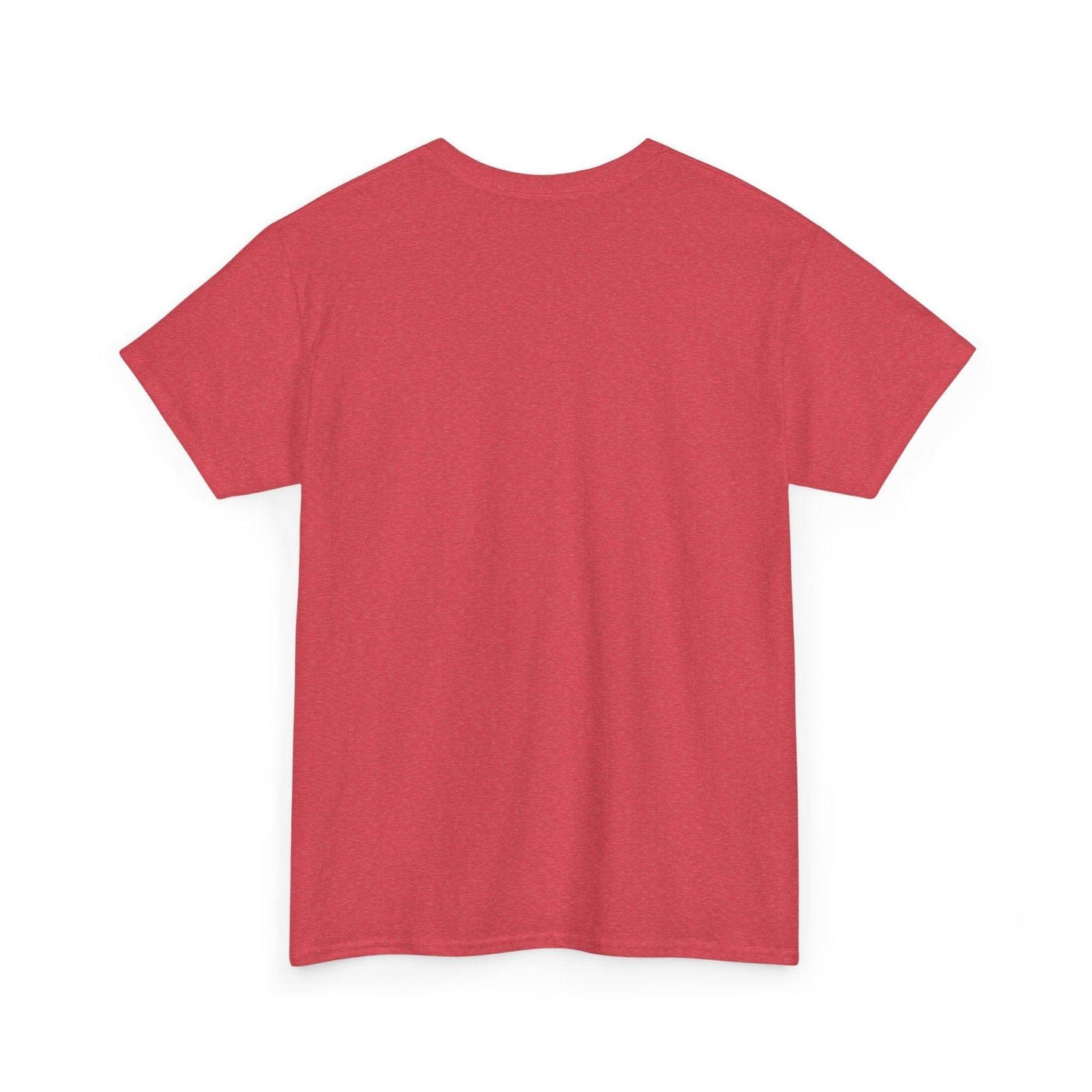 Alicorn Reading - Adult Unisex Heavy Cotton - Brightsee