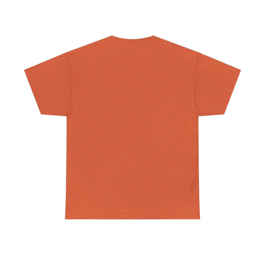 Alicorn Reading - Adult Unisex Heavy Cotton - Brightsee