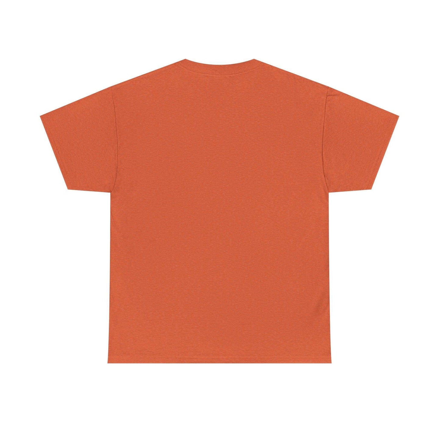 Alicorn Reading - Adult Unisex Heavy Cotton - Brightsee