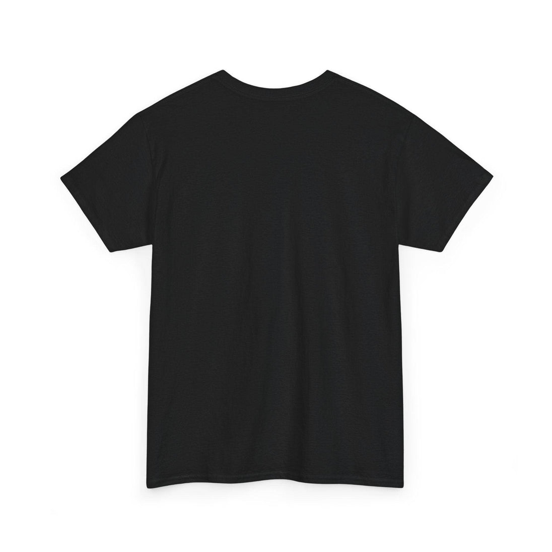 Alicorn Reading - Adult Unisex Heavy Cotton - Brightsee