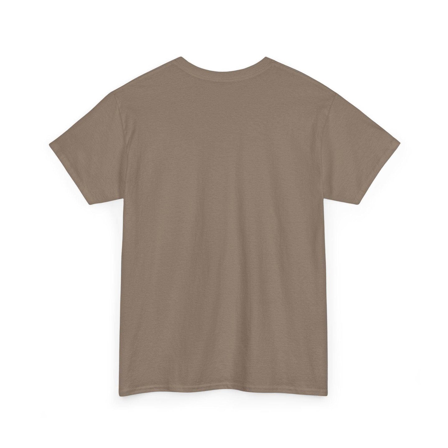 Alicorn Reading - Adult Unisex Heavy Cotton - Brightsee