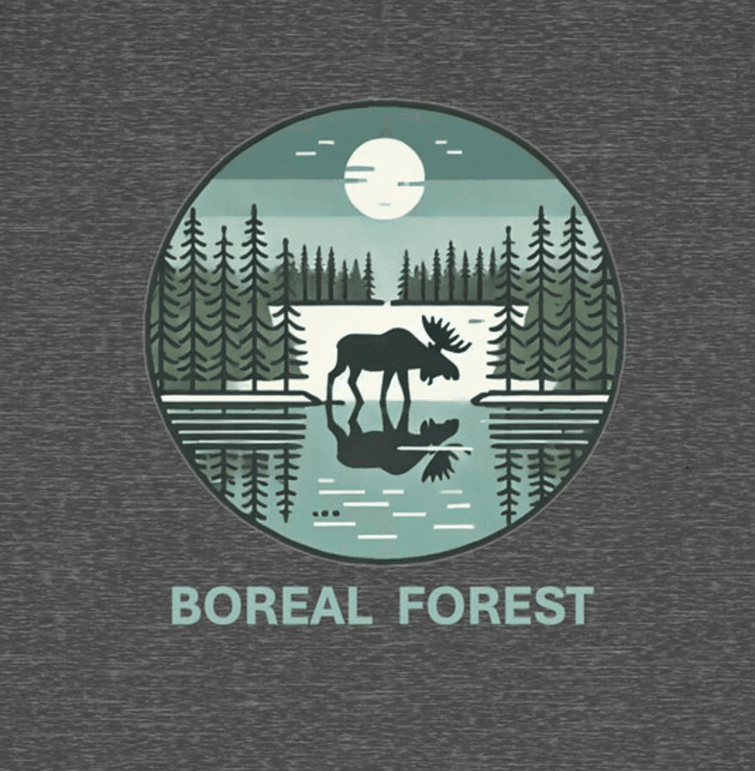 Boreal Forest - Toddler Short Sleeve - Brightsee