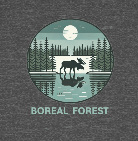 Boreal Forest - Toddler Short Sleeve - Brightsee